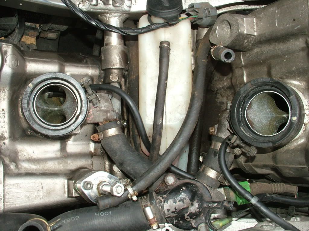 TPS/Carb jetting/Cans!!